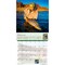 BrownTrout; Fly Fishing Dreams OFFICIAL | 2027 12 x 24 Inch (Hanging) Monthly Square Wall Calendar | Plastic-Free; Category:Wall Calendars; Image:4